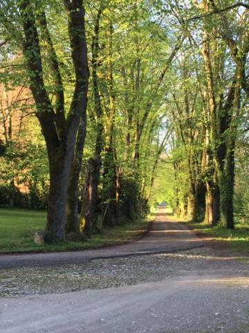 Chateau De Chasseneuil Sur Bonnieure エクステリア 写真