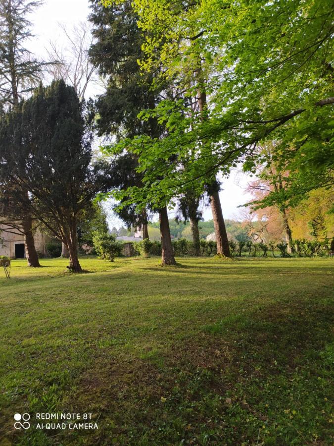 Chateau De Chasseneuil Sur Bonnieure エクステリア 写真